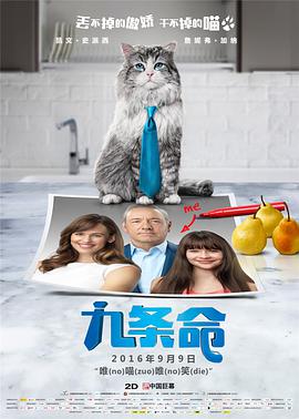与众不同的地方