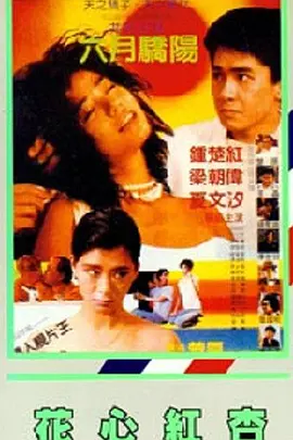 午夜精品一区二区三区免费视频