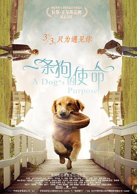 亚洲色图婷婷