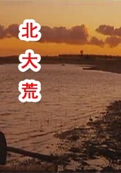 黄金价格 实时