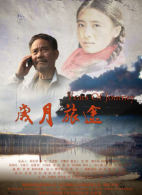 在线观看免费a∨网站