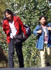 成人在线播放视频