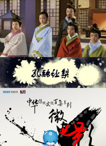 白夜追凶第一季全集