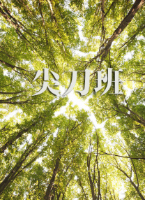 婷婷视频在线
