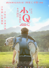 亚洲精品无吗