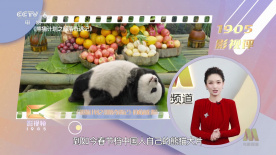 精品国产日韩亚洲一区二区